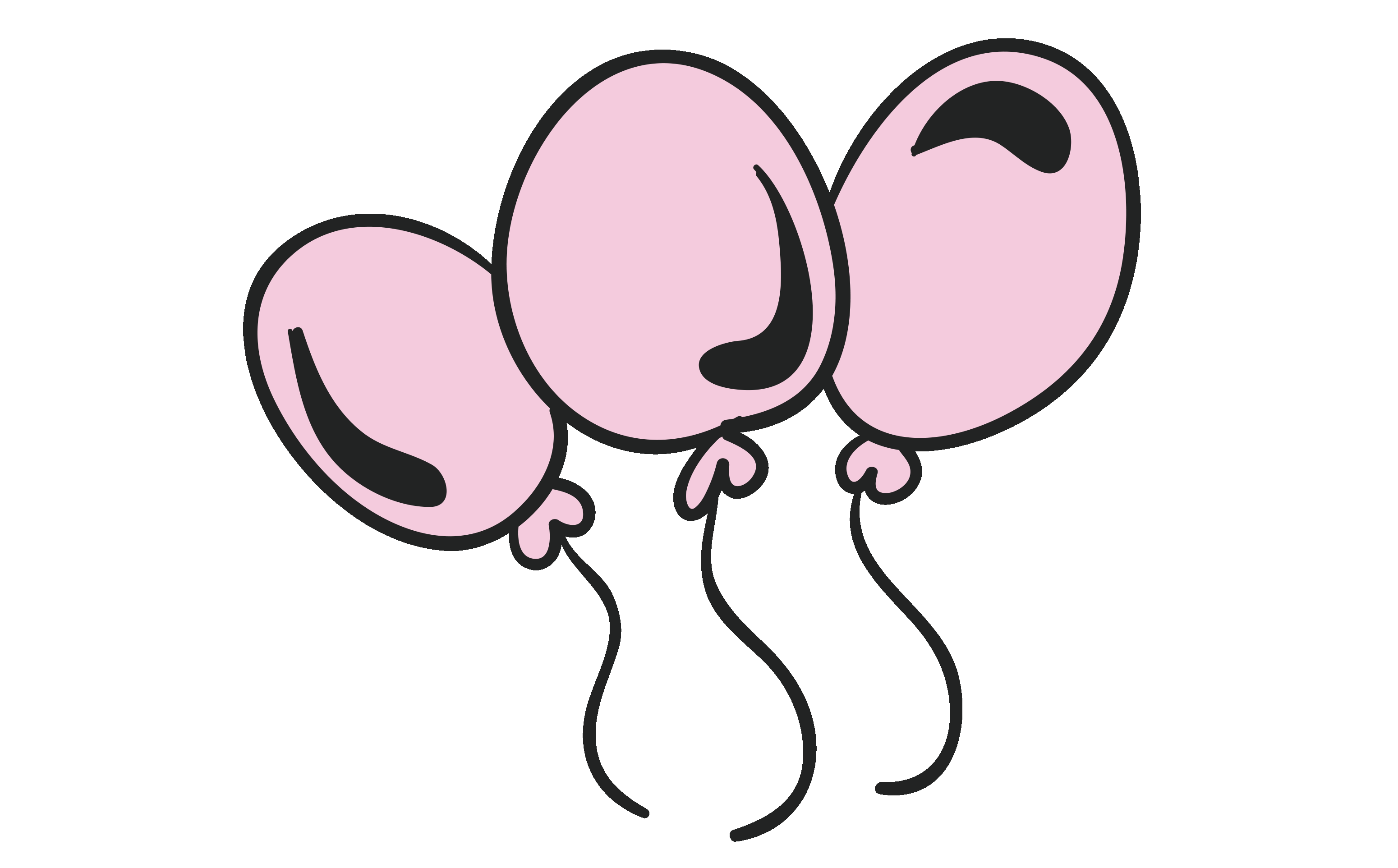 get-to-know-us-dinky-kids-parties-auckland-dinky-kids-party-hire